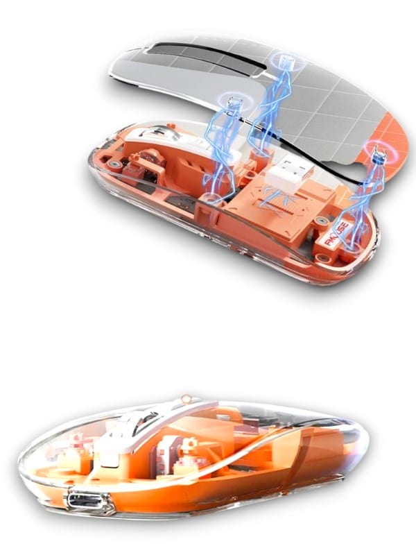 5596bf88-16c0-42fb-bd35-d8af1c1fcf6a-Photoroom