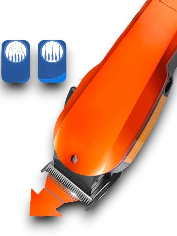 7ae7b92d-f296-4cfa-a87b-7d89727d5936-Photoroom