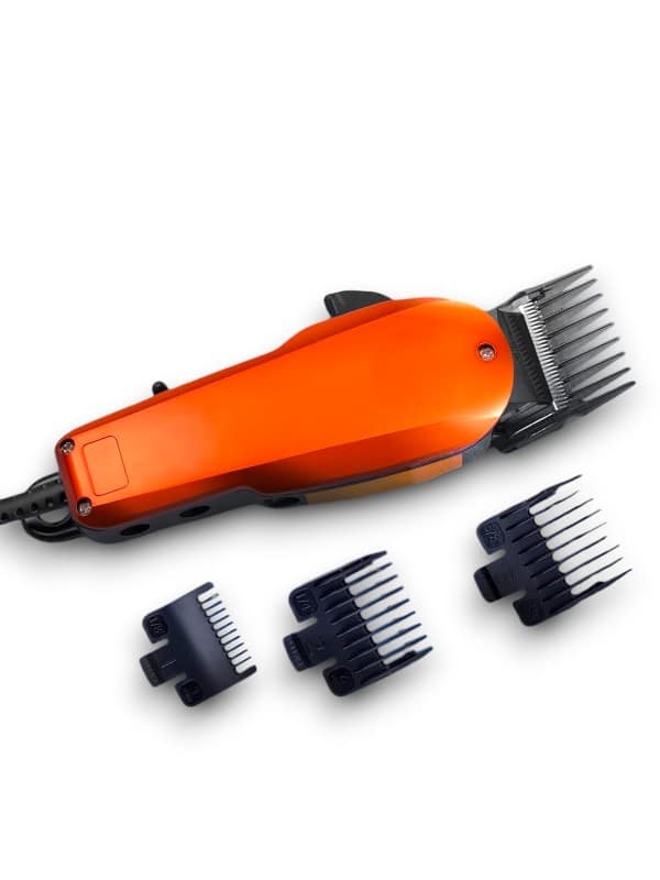 81831659-78ef-4dc5-8ed9-da8a5bbbb3ce-Photoroom