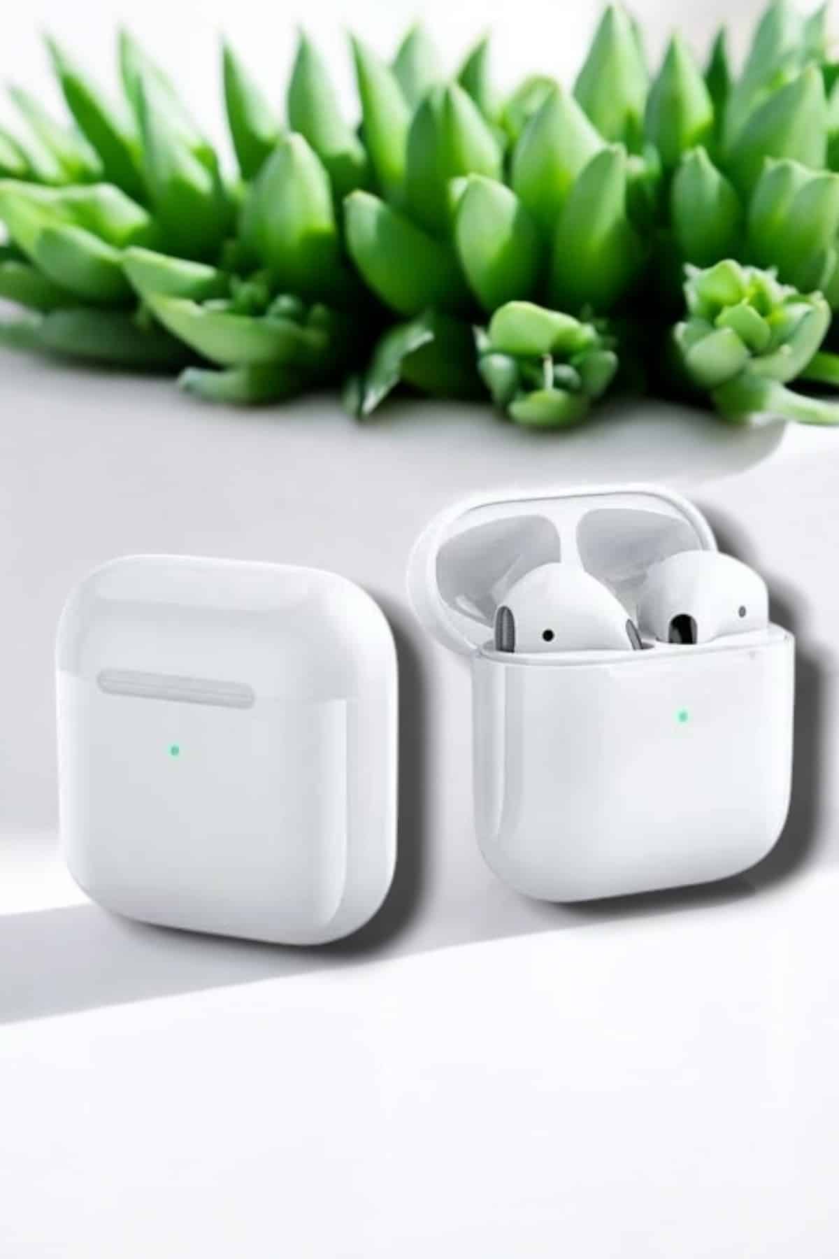 IMG_3441-Photoroom (1)