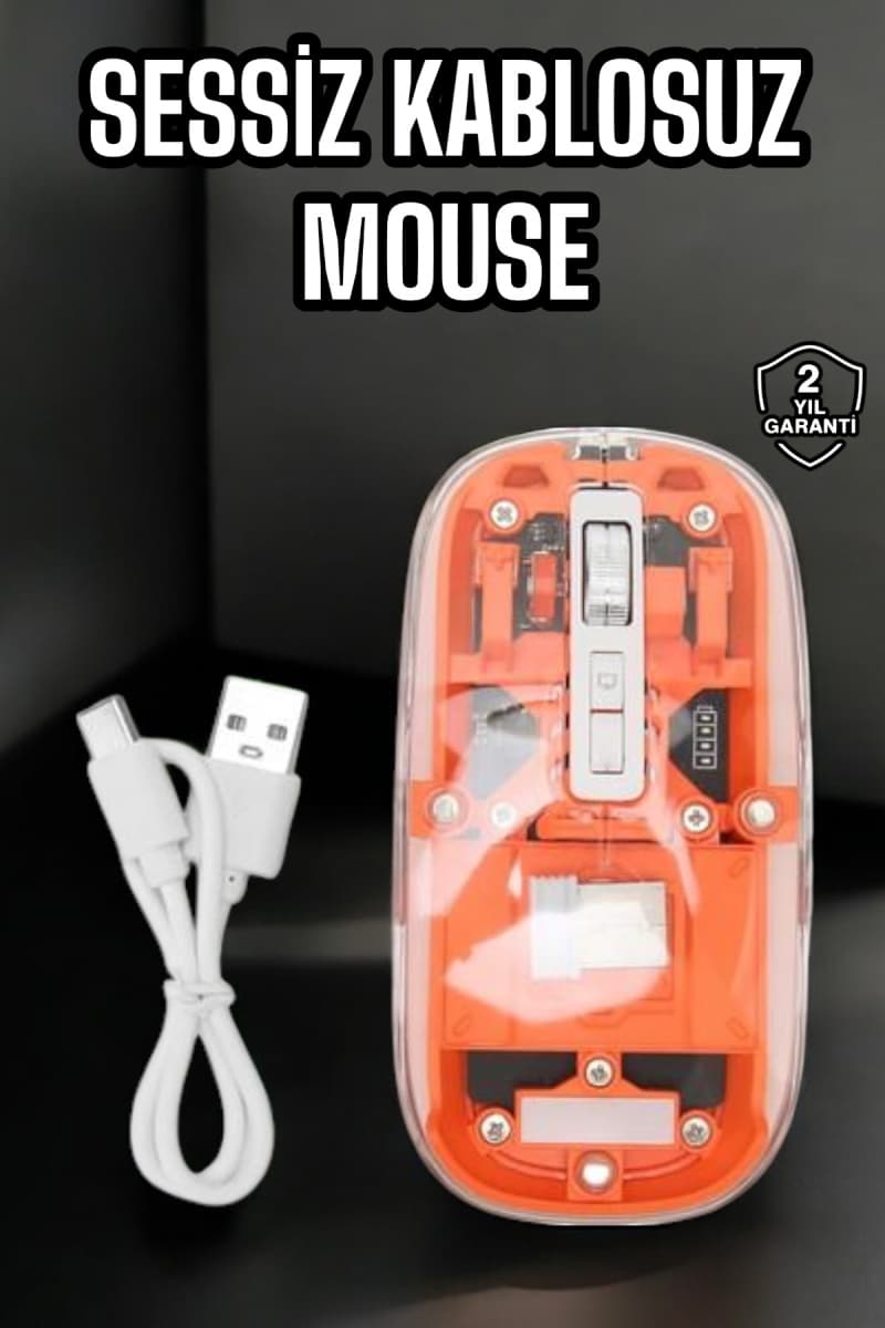 Kablosuz Mouse Fare 5.0 Bluetooth Bağlantılı USB Girişli