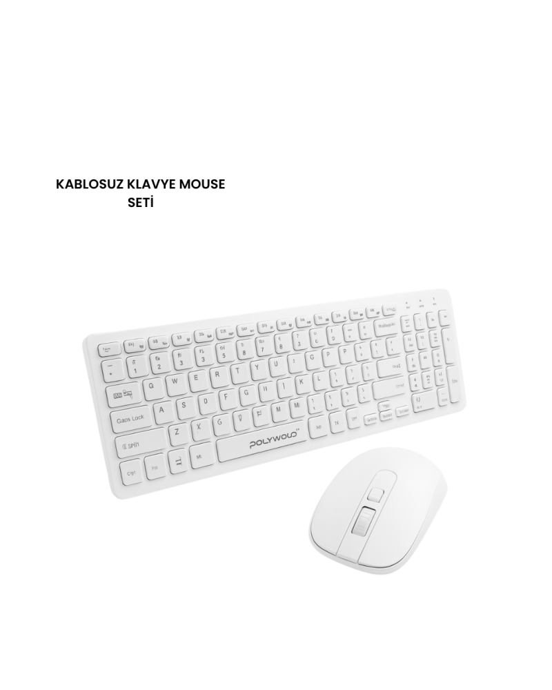 PG-8040 KLAVYE VE MOUSE SETİ