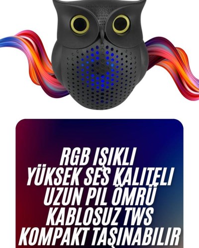 Baykuş Tasarımlı Mini Bluetooth Speaker Yüksek Ses Kaliteli Taşınabilir