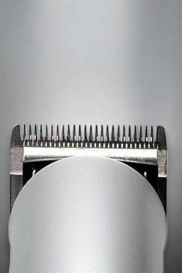 Compressed by jpeg-recompress