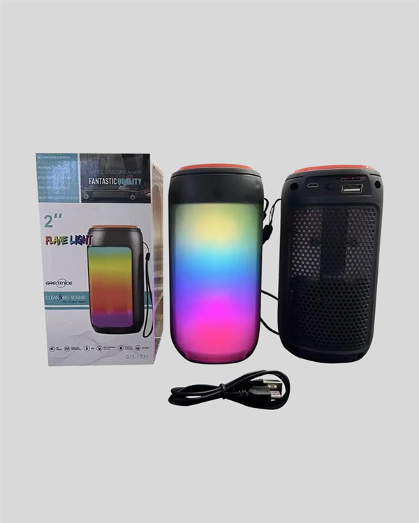 Taşınabilir GTS 1731 Bluetooth Hoparlör – USB/TF Kart Girişli, FM Radyolu - Görsel 5