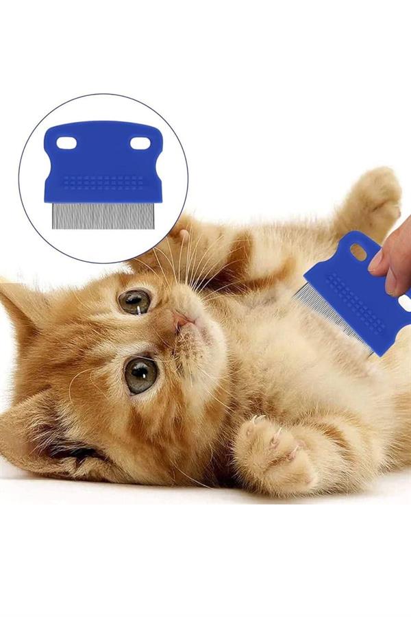 Compressed by jpeg-recompress