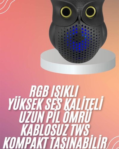 Müzik Çalar Bluetooth Hoparlör Speaker 5.0 Kablosuz Baykuş Görünümlü