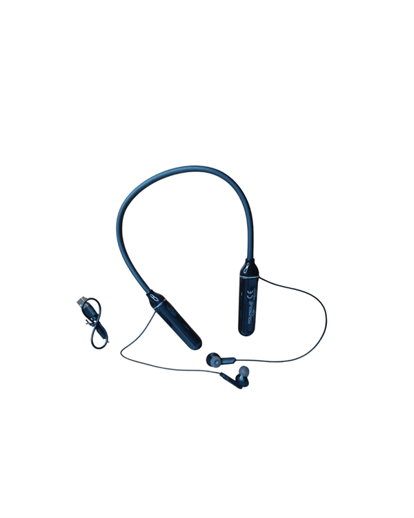 polygold-pg-100-bluetooth-5-8-9b4d