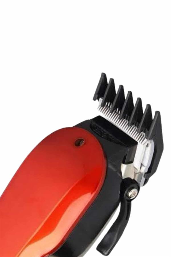 Compressed by jpeg-recompress