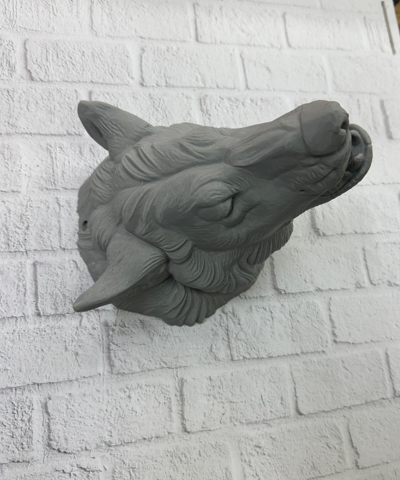 WhatsApp Image 2025-11-24 at 14.13.37 (1)