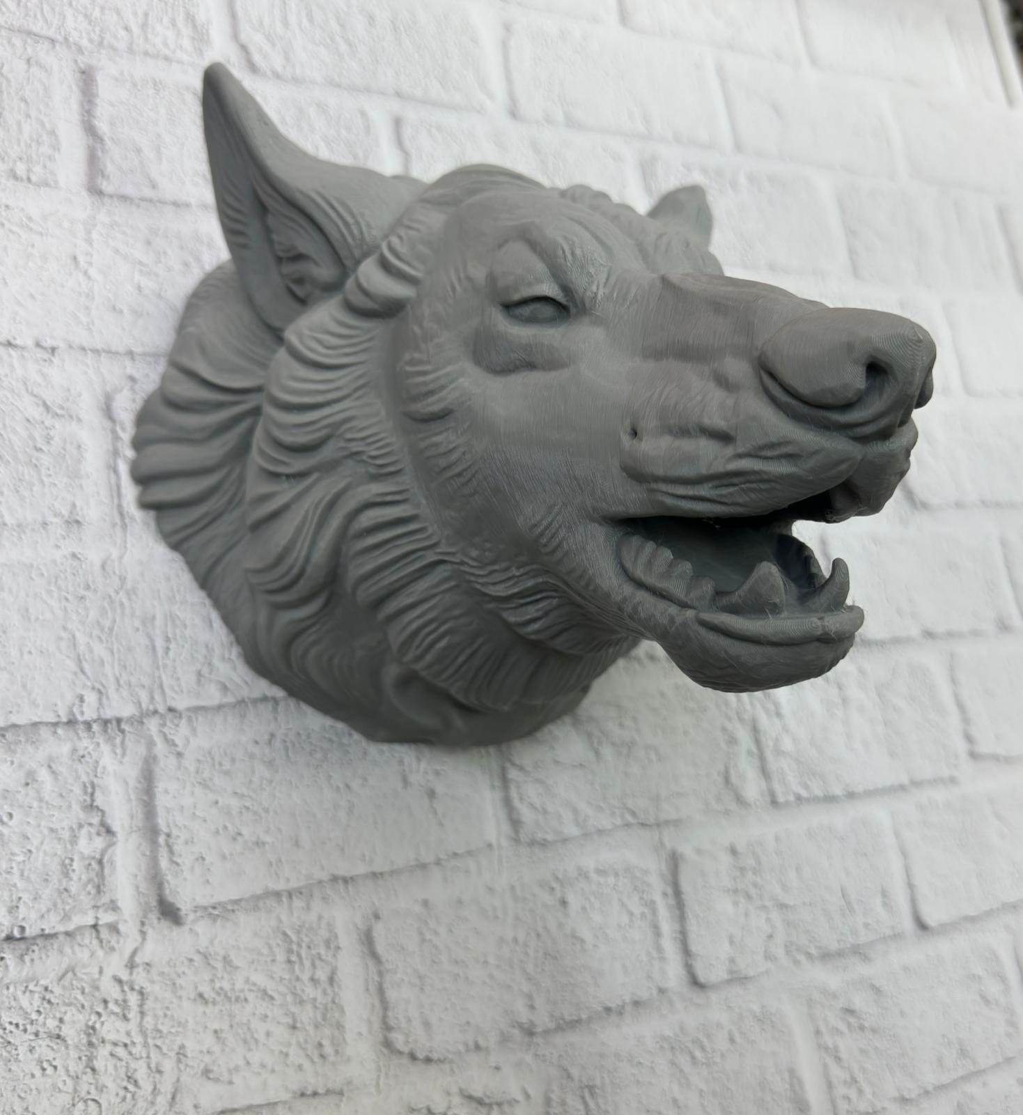 WhatsApp Image 2025-11-24 at 14.13.37