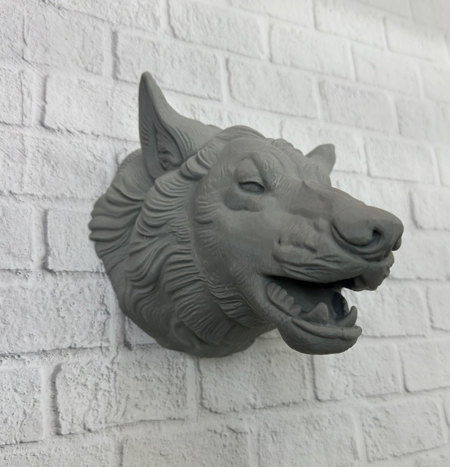 WhatsApp Image 2025-11-24 at 14.13.38 (2)