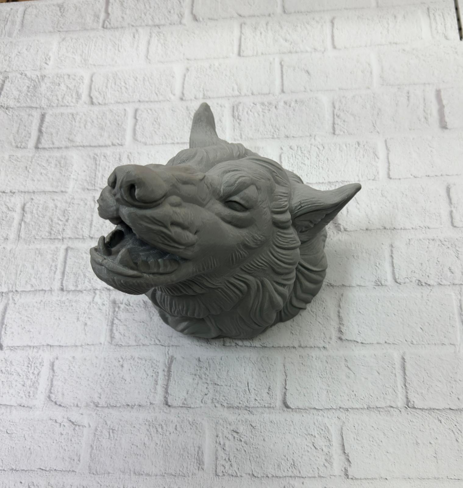 WhatsApp Image 2025-11-24 at 14.13.38