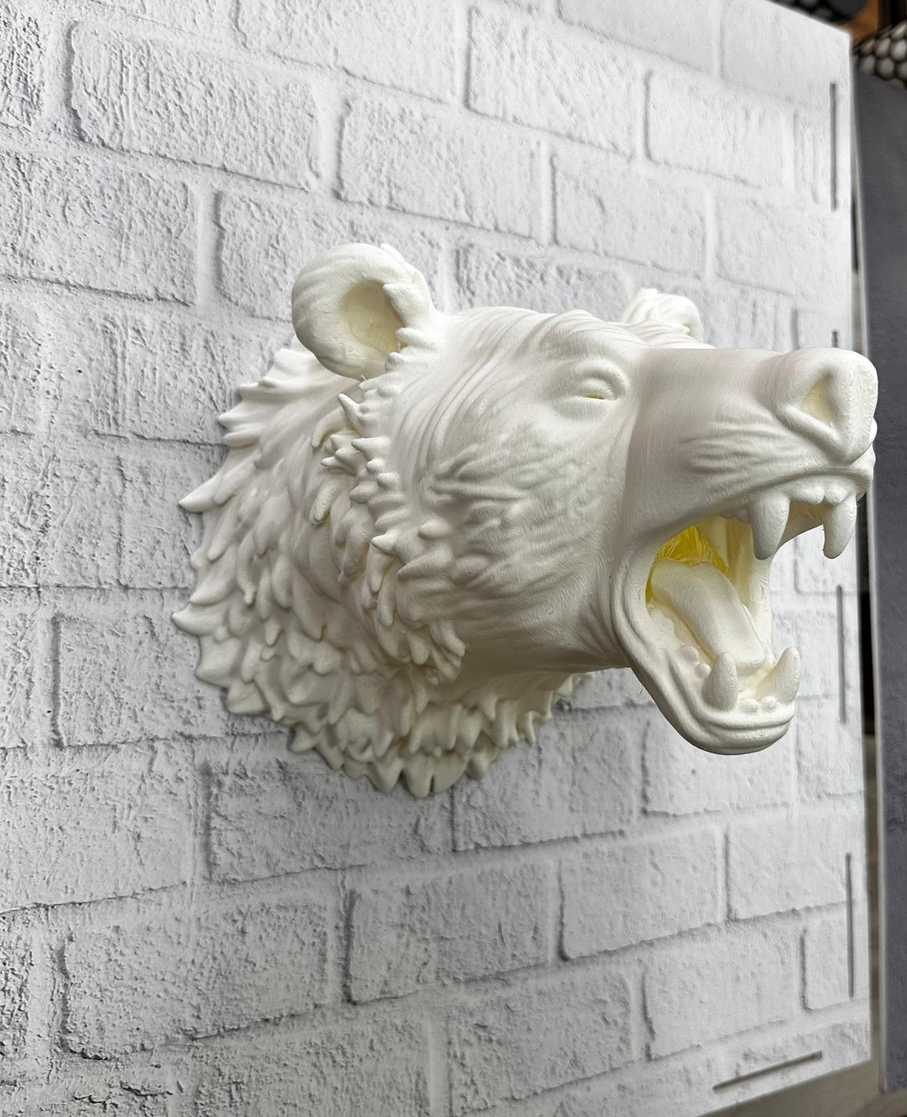 WhatsApp Image 2025-11-24 at 16.01.52 (1)