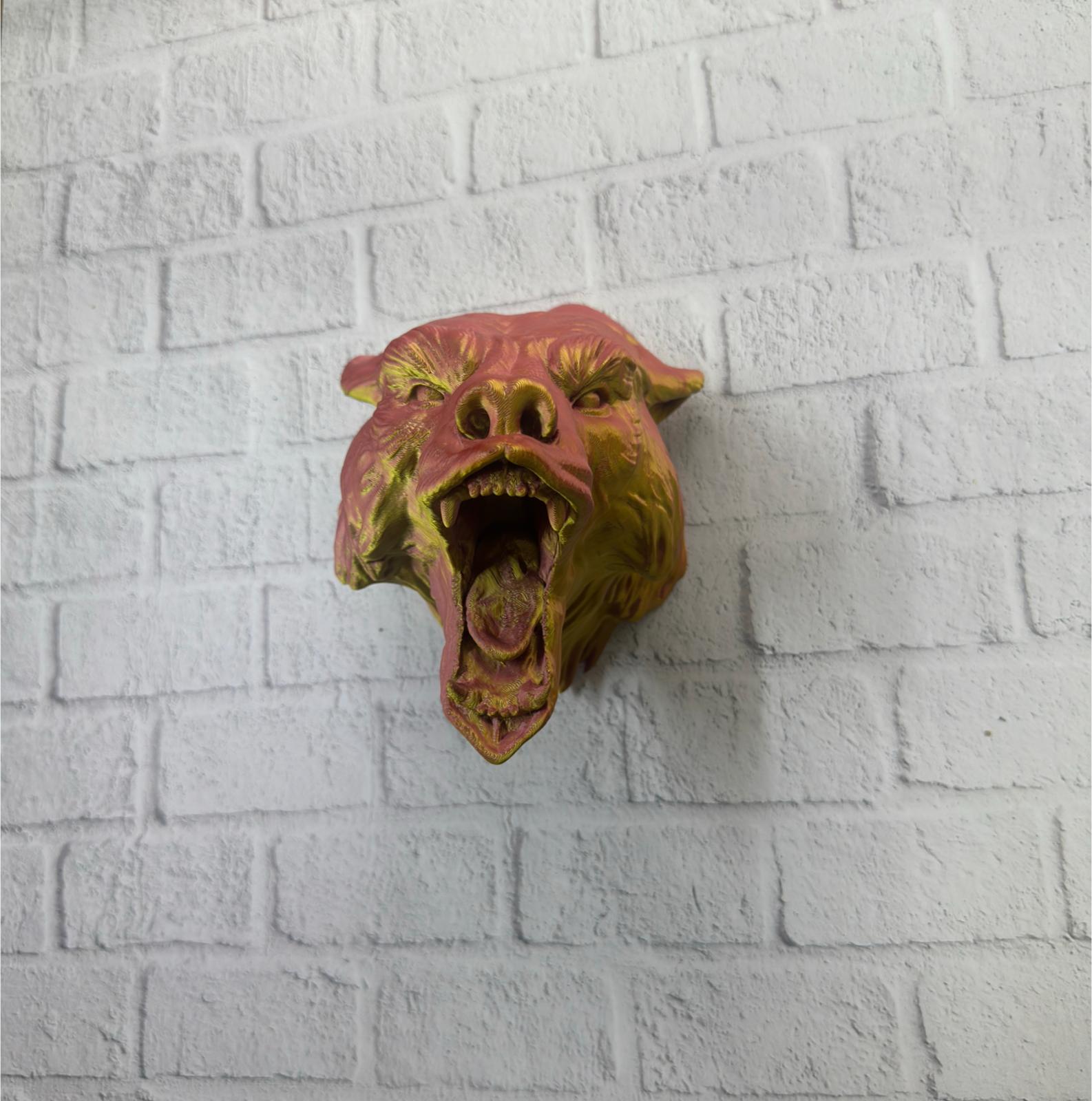 WhatsApp Image 2025-11-24 at 16.11.25