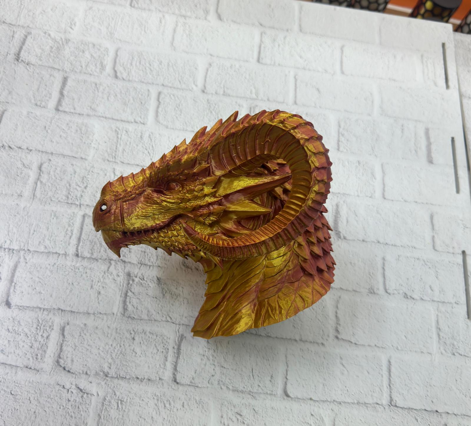 WhatsApp Image 2025-11-24 at 16.43.37