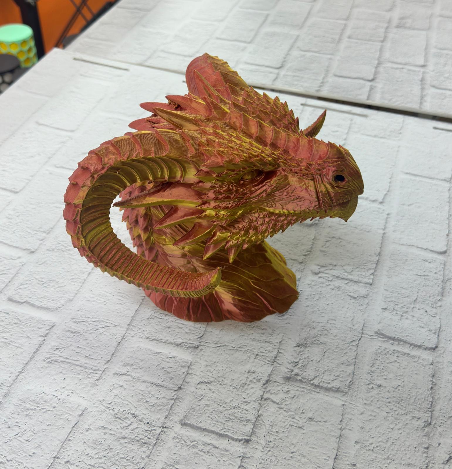 WhatsApp Image 2025-11-24 at 16.43.46