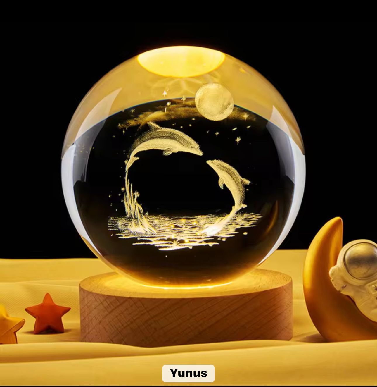 WhatsApp Image 2025-12-08 at 11.34.01