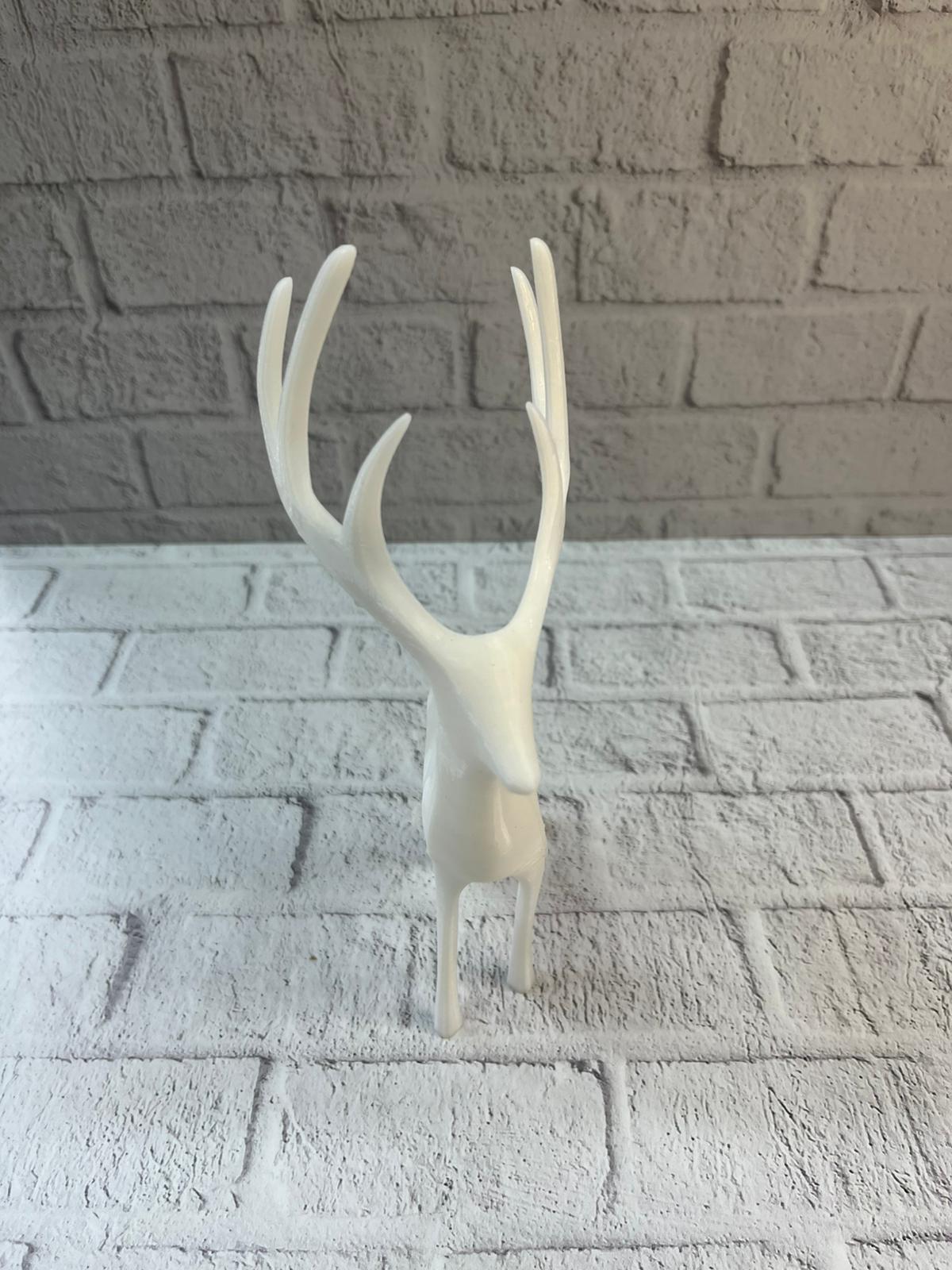 WhatsApp Image 2025-12-20 at 10.39.47 (1)