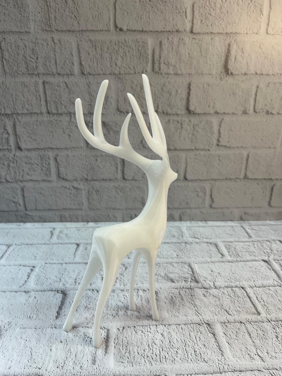 WhatsApp Image 2025-12-20 at 10.39.47