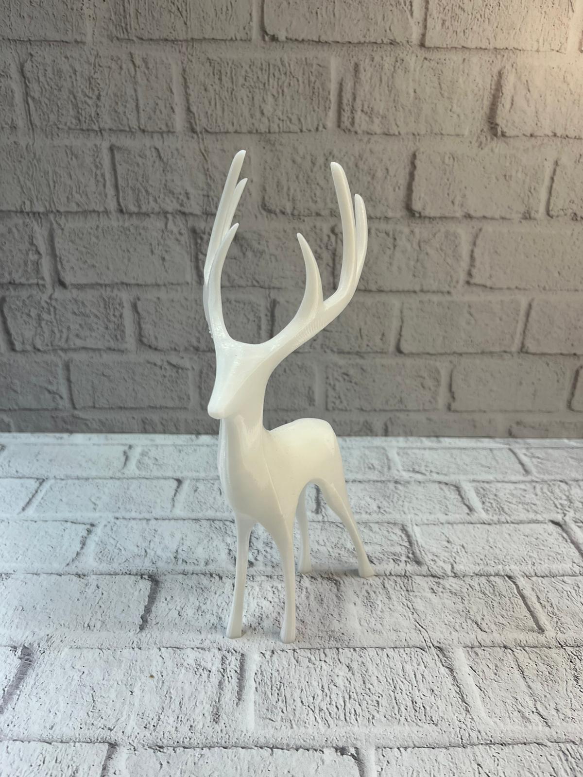 WhatsApp Image 2025-12-20 at 10.39.48 (1)