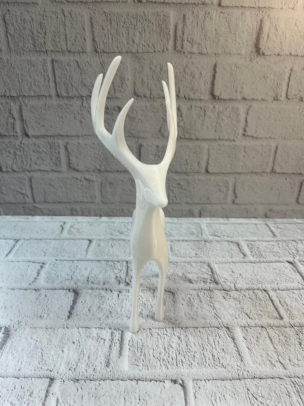 WhatsApp Image 2025-12-20 at 10.39.48