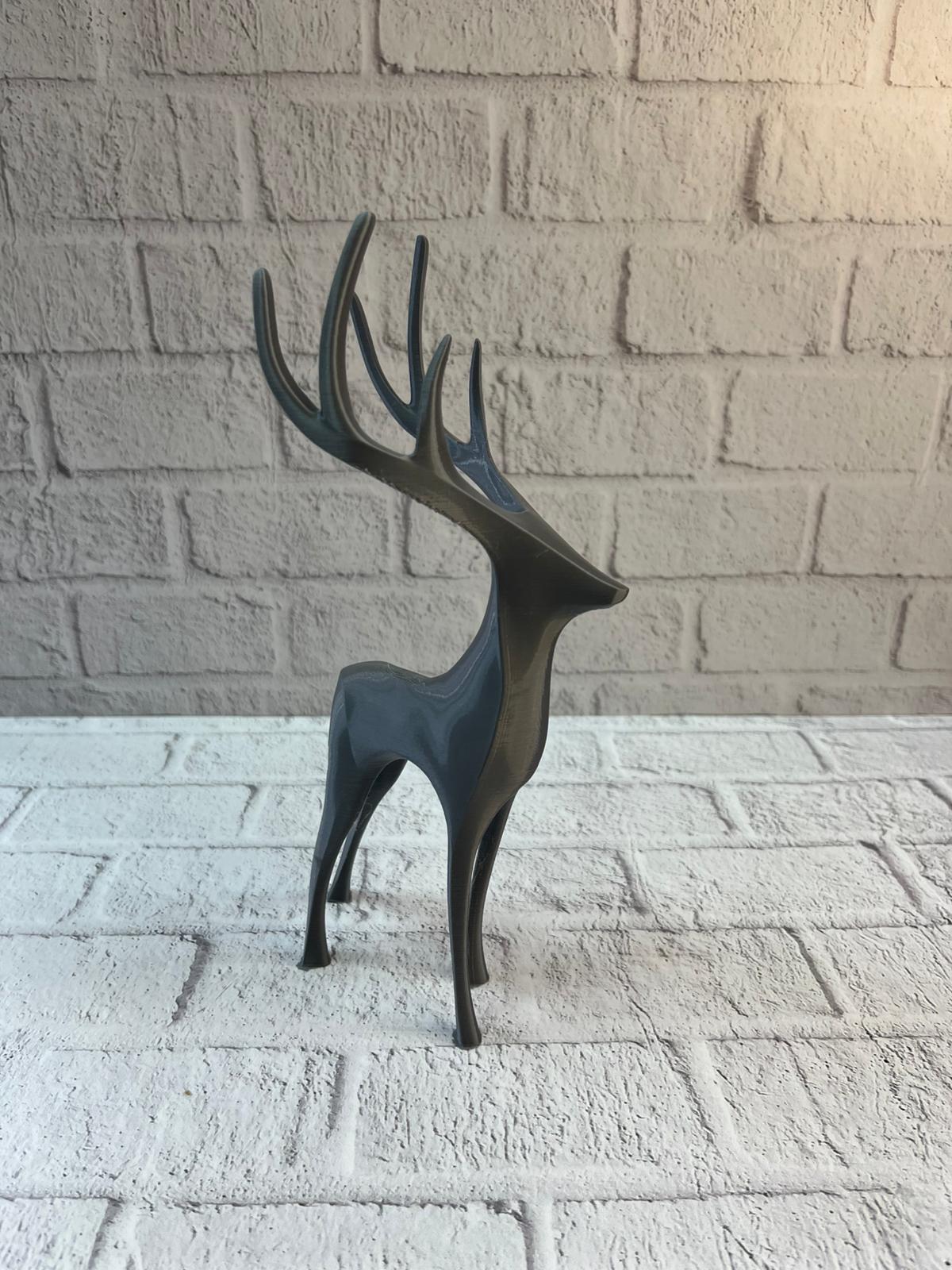 WhatsApp Image 2025-12-20 at 10.39.58