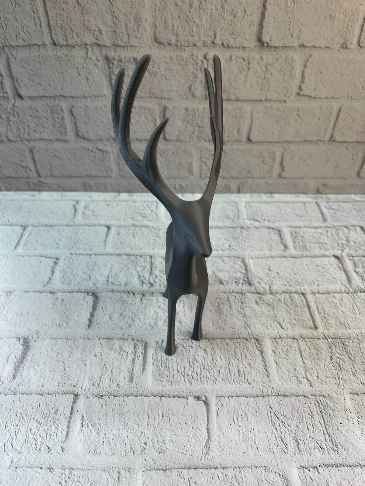 WhatsApp Image 2025-12-20 at 10.39.59 (1)