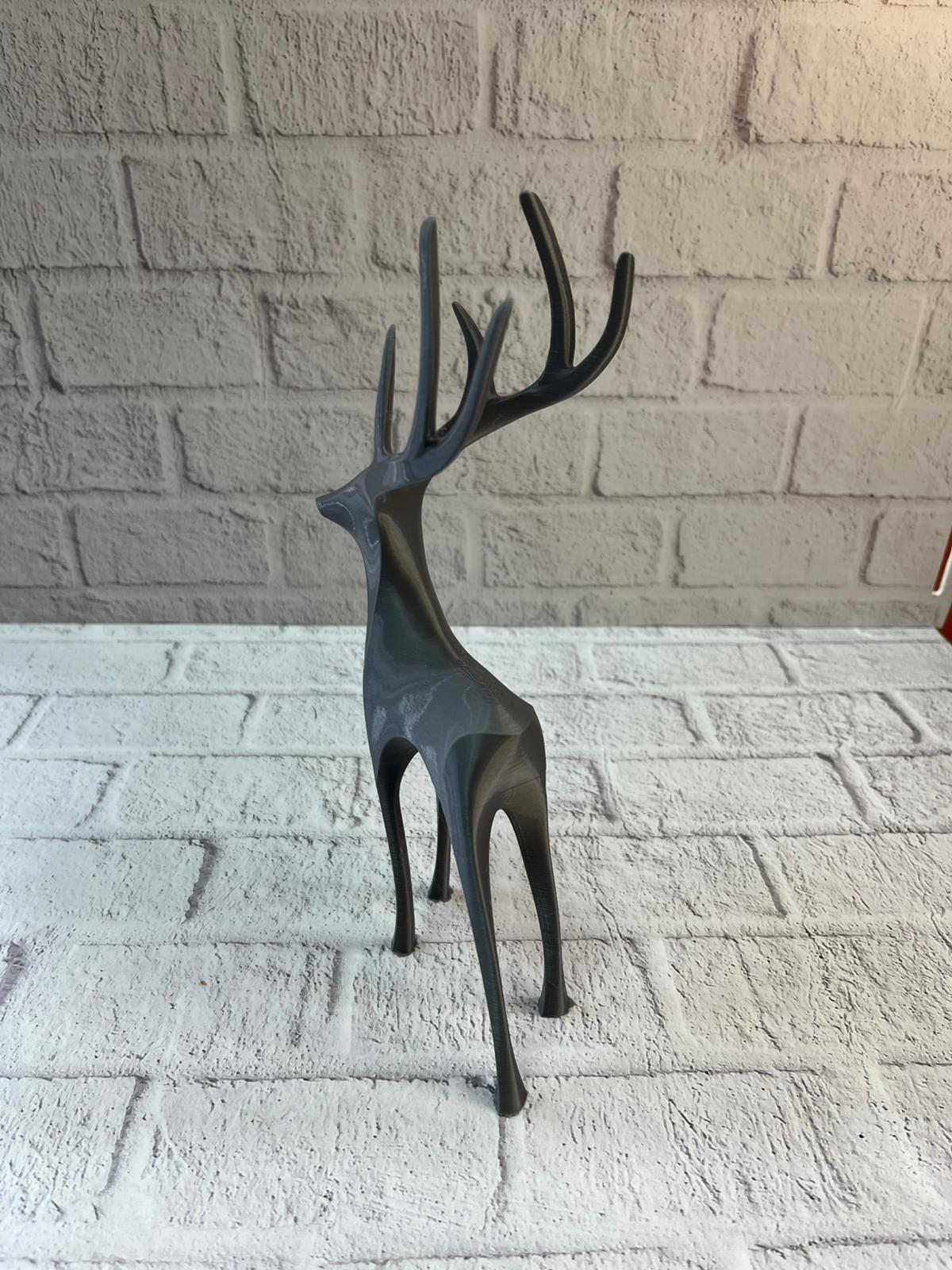 WhatsApp Image 2025-12-20 at 10.39.59