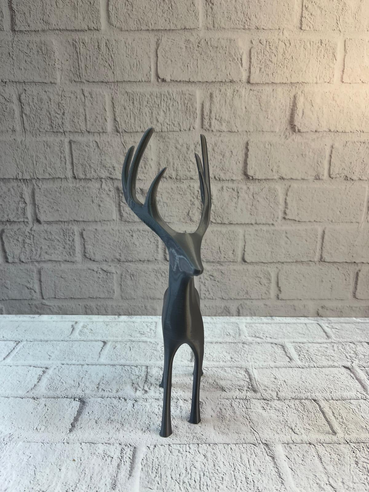 WhatsApp Image 2025-12-20 at 10.40.00